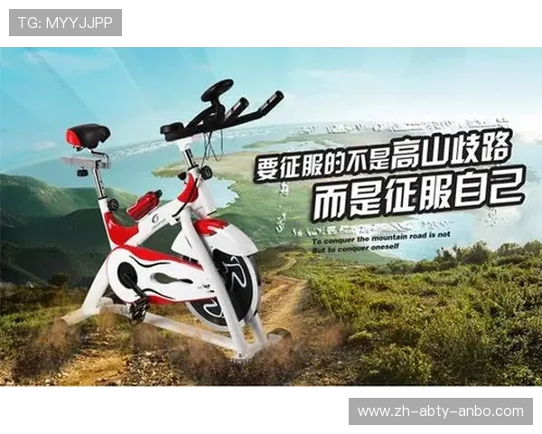 高韧性碳钢健身车大载重专业运动设备